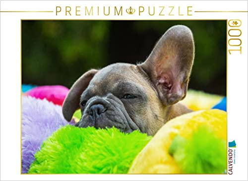 CALVENDO Puzzle Müder Kleiner Welpe 1000 Teile Lege-Größe 64 x 48 cm Foto-Puzzle Bild von Sista-Tierfoto von CALVENDO