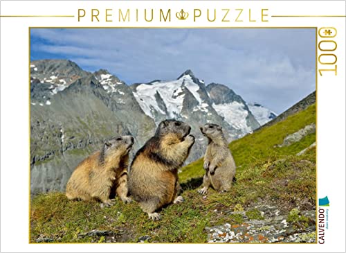 CALVENDO Puzzle EIN Motiv aus dem Kalender Murmeltiere 1000 Teile Puzzle quer | Lege-Größe cm Foto-Puzzle für glückliche Stunden von CALVENDO