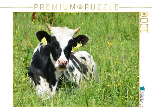 CALVENDO Puzzle Nachwuchs in der Rinderherde | 1000 Teile Lege-Größe 64 x 48 cm Foto-Puzzle für glückliche Stunden von CALVENDO
