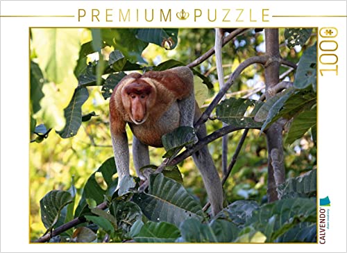 CALVENDO Puzzle Nasenaffe, Borneo 1000 Teile Puzzle quer | 1000 Teile Lege-Größe 64 x 48 cm Foto-Puzzle für glückliche Stunden von CALVENDO