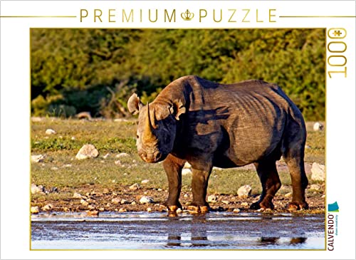 CALVENDO Puzzle Nashorn im Etosha NP, Namibia 1000 Teile Puzzle quer | 1000 Teile Lege-Größe 64 x 48 cm Foto-Puzzle für glückliche Stunden CALVENDO Puzzle Nashorn im Etosha NP, Namibia 1000 Teile Puzzle quer | 1000 Teile Lege-Größe 64 x 48 cm Foto-Puzzle für glückliche Stunden von CALVENDO