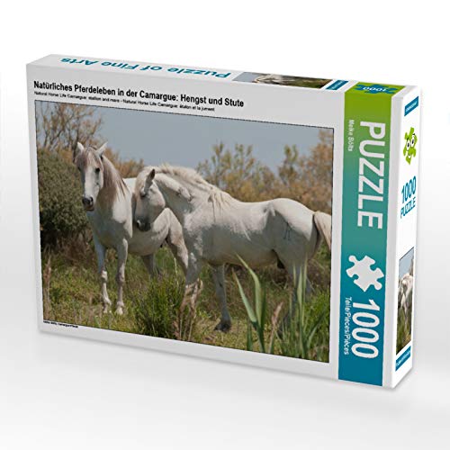 CALVENDO Puzzle Natürliches Pferdeleben in der Camargue: Hengst und Stute 1000 Teile Puzzle quer | 1000 Teile Lege-Größe 64 x 48 cm Foto-Puzzle für glückliche Stunden von CALVENDO