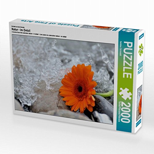 CALVENDO Puzzle Natur - im Detail 2000 Teile Lege-Größe 90 x 67 cm Foto-Puzzle Bild von Sabine Schmidt CALVENDO Puzzle Natur - im Detail 2000 Teile Lege-Größe 90 x 67 cm Foto-Puzzle Bild von Sabine Schmidt von CALVENDO