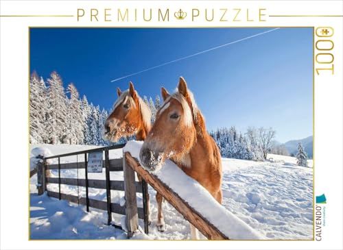 CALVENDO Puzzle Neugierige Pferde in Flachau | 1000 Teile Lege-Größe 64 x 48 cm Foto-Puzzle für glückliche Stunden von CALVENDO