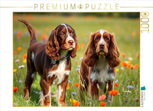 CALVENDO Puzzle Niedliche American Cocker Spaniel | 1000 Teile Lege-Größe 64 x 48 cm Foto-Puzzle für glückliche Stunden von CALVENDO