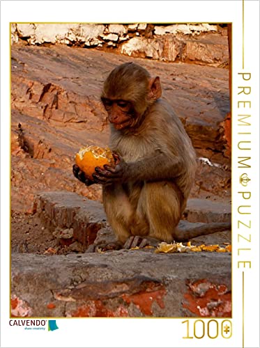 CALVENDO Puzzle Niedliche Tierporträts 1000 Teile Puzzle hoch | Lege-Größe cm Foto-Puzzle für glückliche Stunden von CALVENDO
