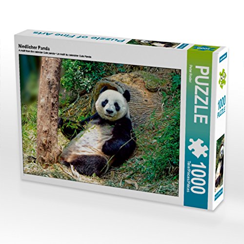 CALVENDO Puzzle Niedlicher Panda 1000 Teile Lege-Größe 64 x 48 cm Foto-Puzzle Bild von Peter Roder CALVENDO Puzzle Niedlicher Panda 1000 Teile Lege-Größe 64 x 48 cm Foto-Puzzle Bild von Peter Roder von CALVENDO