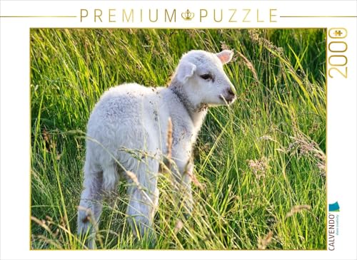 CALVENDO Puzzle Niedliches Schäfchen | 2000 Teile Lege-Größe 90 x 67 cm Foto-Puzzle für glückliche Stunden von CALVENDO