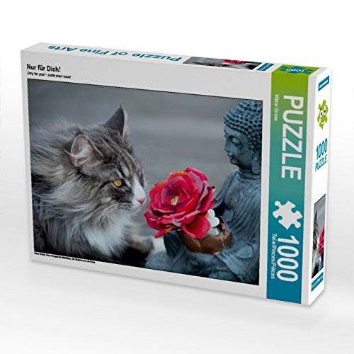 CALVENDO Puzzle Nur für Dich! 1000 Teile Lege-Größe 64 x 48 cm Foto-Puzzle Bild von Viktor Gross von CALVENDO