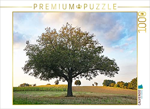 CALVENDO Puzzle Nussbaum im September | 1000 Teile Lege-Größe 64 x 48 cm Foto-Puzzle für glückliche Stunden CALVENDO Puzzle Nussbaum im September | 1000 Teile Lege-Größe 64 x 48 cm Foto-Puzzle für glückliche Stunden von CALVENDO