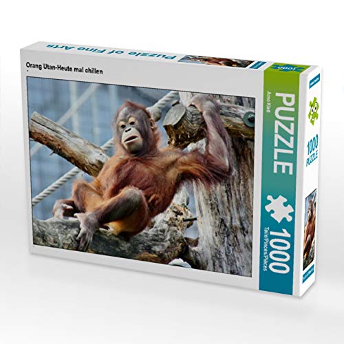 CALVENDO Puzzle Orang Utan-Heute mal chillen 1000 Teile Puzzle quer | 1000 Teile Lege-Größe 64 x 48 cm Foto-Puzzle für glückliche Stunden CALVENDO Puzzle Orang Utan-Heute mal chillen 1000 Teile Puzzle quer | 1000 Teile Lege-Größe 64 x 48 cm Foto-Puzzle für glückliche Stunden von CALVENDO