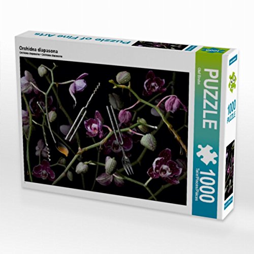 CALVENDO Puzzle Orchidea diapasona 1000 Teile Lege-Größe 64 x 48 cm Foto-Puzzle Bild von Olaf Bruhn CALVENDO Puzzle Orchidea diapasona 1000 Teile Lege-Größe 64 x 48 cm Foto-Puzzle Bild von Olaf Bruhn von CALVENDO