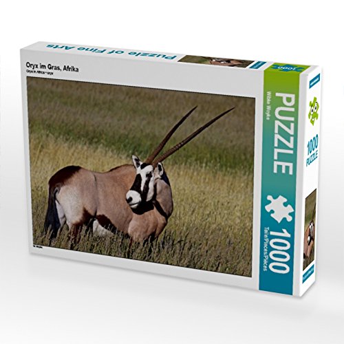 CALVENDO Puzzle Oryx im Gras, Afrika 1000 Teile Puzzle quer | 1000 Teile Lege-Größe 64 x 48 cm Foto-Puzzle für glückliche Stunden von CALVENDO