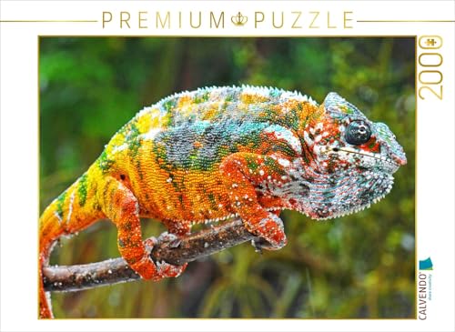 CALVENDO Puzzle Panther-Chamäleon in Allen leuchtenden Farben des Regenbogens. 2000 Teile Lege-Größe 90 x 67 cm Foto-Puzzle Bild Verlag CALVENDO Puzzle Panther-Chamäleon in Allen leuchtenden Farben des Regenbogens. 2000 Teile Lege-Größe 90 x 67 cm Foto-Puzzle Bild Verlag von CALVENDO