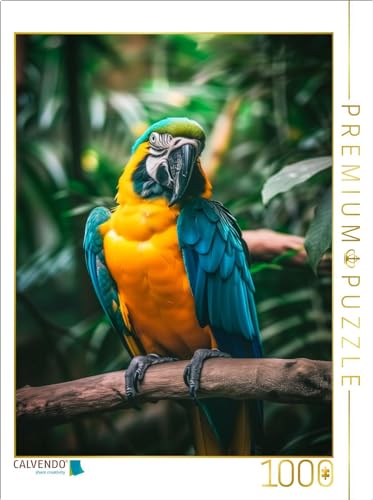 CALVENDO Puzzle Papagei | 1000 Teile Lege-Größe 64 x 48 cm Foto-Puzzle für glückliche Stunden von CALVENDO