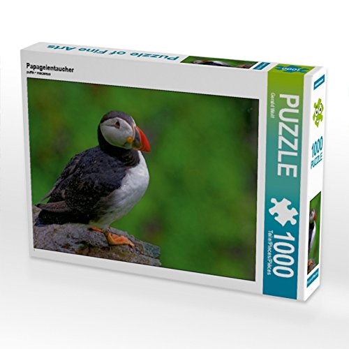 CALVENDO Puzzle Papageientaucher 1000 Teile Puzzle quer | 1000 Teile Lege-Größe 64 x 48 cm Foto-Puzzle für glückliche Stunden CALVENDO Puzzle Papageientaucher 1000 Teile Puzzle quer | 1000 Teile Lege-Größe 64 x 48 cm Foto-Puzzle für glückliche Stunden von CALVENDO