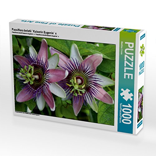 CALVENDO Puzzle Passiflora belotii ´Kaiserin Eugenie` x 1000 Teile Puzzle quer | 1000 Teile Lege-Größe 64 x 48 cm Foto-Puzzle für glückliche Stunden von CALVENDO