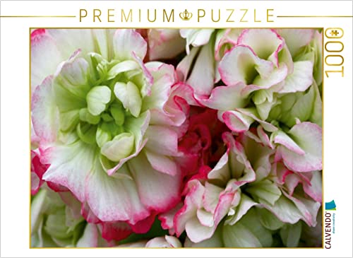 CALVENDO Puzzle Pelargonie Rosebud Appleblossom 1000 Teile Puzzle quer | Lege-Größe cm Foto-Puzzle für glückliche Stunden von CALVENDO