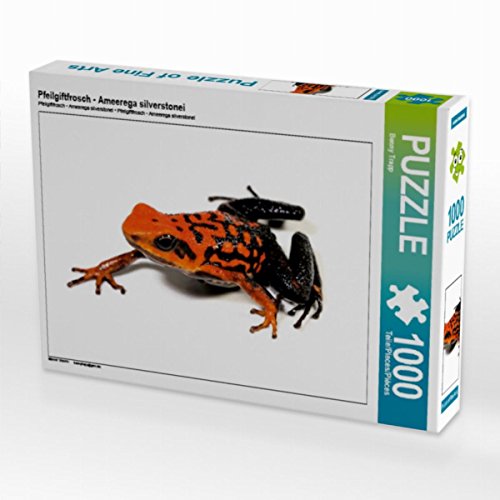 CALVENDO Puzzle Pfeilgiftfrosch - Ameerega silverstonei 1000 Teile Lege-Größe 64 x 48 cm Foto-Puzzle Bild von Benny Trapp CALVENDO Puzzle Pfeilgiftfrosch - Ameerega silverstonei 1000 Teile Lege-Größe 64 x 48 cm Foto-Puzzle Bild von Benny Trapp von CALVENDO