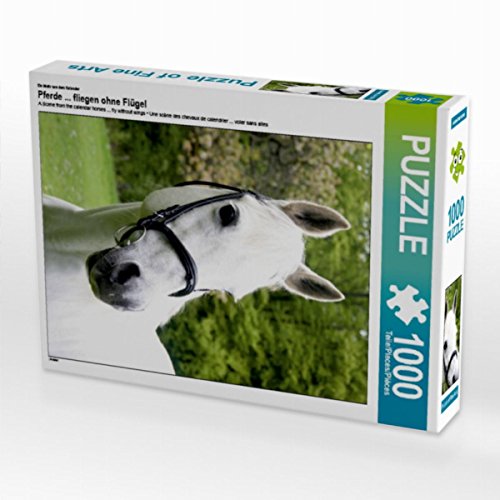 CALVENDO Puzzle Pferde ... fliegen ohne Flügel 1000 Teile Lege-Größe 48 x 64 cm Foto-Puzzle Bild von K. Grüttner CALVENDO Puzzle Pferde ... fliegen ohne Flügel 1000 Teile Lege-Größe 48 x 64 cm Foto-Puzzle Bild von K. Grüttner von CALVENDO