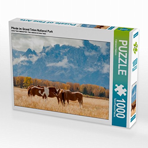 CALVENDO Puzzle Pferde im Grand Teton National Park 1000 Teile Lege-Größe 64 x 48 cm Foto-Puzzle Bild von Fabienne Heidorn CALVENDO Puzzle Pferde im Grand Teton National Park 1000 Teile Lege-Größe 64 x 48 cm Foto-Puzzle Bild von Fabienne Heidorn von CALVENDO