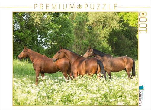 CALVENDO Puzzle Pferde im Grünen 1000 Teile Lege-Größe 64 x 48 cm Foto-Puzzle Bild von Ella von CALVENDO