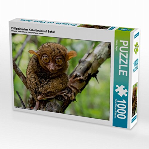 CALVENDO Puzzle Philippinischer Koboldmaki auf Bohol 1000 Teile Puzzle quer | Lege-Größe cm Foto-Puzzle für glückliche Stunden von CALVENDO