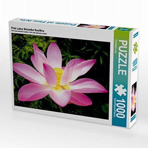 CALVENDO Puzzle Pink Lotus Nelumbo Nucifera 1000 Teile Lege-Größe 64 x 48 cm Foto-Puzzle Bild von Travelpixx.com von CALVENDO