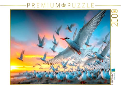 CALVENDO Puzzle Platzsuche in der Kolonie | 2000 Teile Lege-Größe 90 x 67 cm Foto-Puzzle für glückliche Stunden von CALVENDO