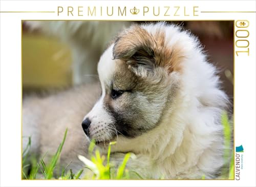 CALVENDO Puzzle Portrait Einer kleinen Schönheit | 1000 Teile Lege-Größe 64 x 48 cm Foto-Puzzle für glückliche Stunden CALVENDO Puzzle Portrait Einer kleinen Schönheit | 1000 Teile Lege-Größe 64 x 48 cm Foto-Puzzle für glückliche Stunden von CALVENDO