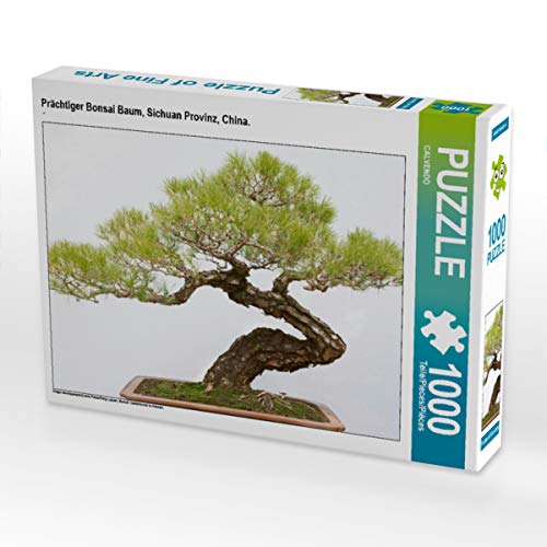 CALVENDO Puzzle Prächtiger Bonsai Baum, Sichuan Provinz, China. 1000 Teile Lege-Größe 64 x 48 cm Foto-Puzzle Bild Verlag von CALVENDO