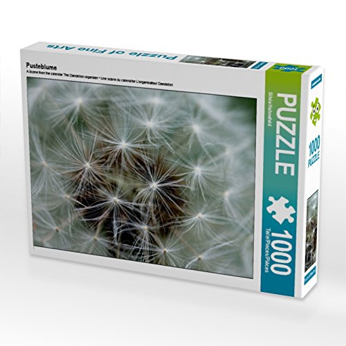 CALVENDO Puzzle Pusteblume 1000 Teile Puzzle quer | 1000 Teile Lege-Größe 64 x 48 cm Foto-Puzzle für glückliche Stunden CALVENDO Puzzle Pusteblume 1000 Teile Puzzle quer | 1000 Teile Lege-Größe 64 x 48 cm Foto-Puzzle für glückliche Stunden von CALVENDO