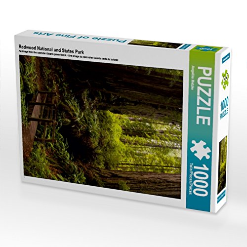 CALVENDO Puzzle Redwood National and States Park 1000 Teile Puzzle hoch | 1000 Teile Lege-Größe 48 x 64 cm Foto-Puzzle für glückliche Stunden von CALVENDO