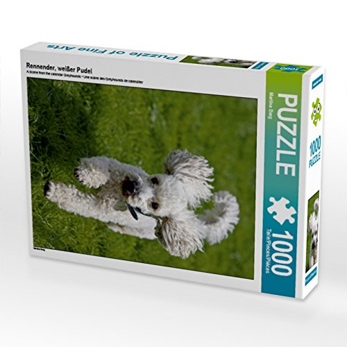 CALVENDO Puzzle Rennender, weißer Pudel 1000 Teile Puzzle hoch | 1000 Teile Lege-Größe 48 x 64 cm Foto-Puzzle für glückliche Stunden CALVENDO Puzzle Rennender, weißer Pudel 1000 Teile Puzzle hoch | 1000 Teile Lege-Größe 48 x 64 cm Foto-Puzzle für glückliche Stunden von CALVENDO