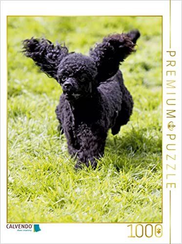 CALVENDO Puzzle Rennender Pudel 1000 Teile Puzzle hoch | 1000 Teile Lege-Größe 48 x 64 cm Foto-Puzzle für glückliche Stunden von CALVENDO