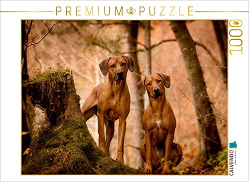 CALVENDO Puzzle EIN Motiv aus dem Kalender Rhodesian Ridgeback - Herzen auf Vier Pfoten 1000 Teile Puzzle quer | 1000 Teile Lege-Größe 64 x 48 cm Foto-Puzzle für glückliche Stunden von CALVENDO
