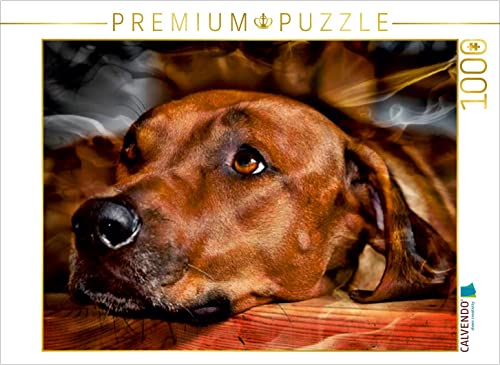 CALVENDO Puzzle EIN Motiv aus dem Kalender Rhodesian Ridgeback - Moments - 1000 Teile Puzzle quer | 1000 Teile Lege-Größe 64 x 48 cm Foto-Puzzle für glückliche Stunden von CALVENDO