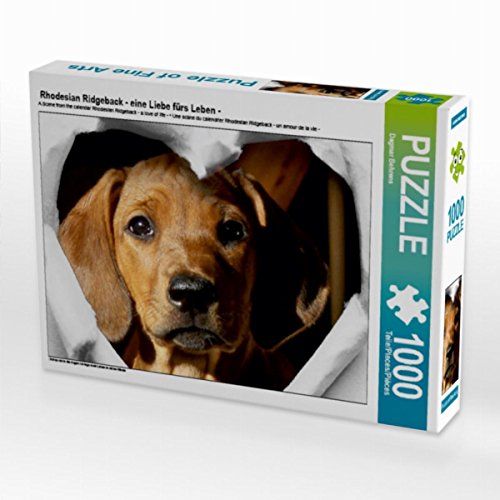 CALVENDO Puzzle Rhodesian Ridgeback - eine Liebe fürs Leben - 1000 Teile Lege-Größe 64 x 48 cm Foto-Puzzle Bild von Dagmar Behrens CALVENDO Puzzle Rhodesian Ridgeback - eine Liebe fürs Leben - 1000 Teile Lege-Größe 64 x 48 cm Foto-Puzzle Bild von Dagmar Behrens von CALVENDO
