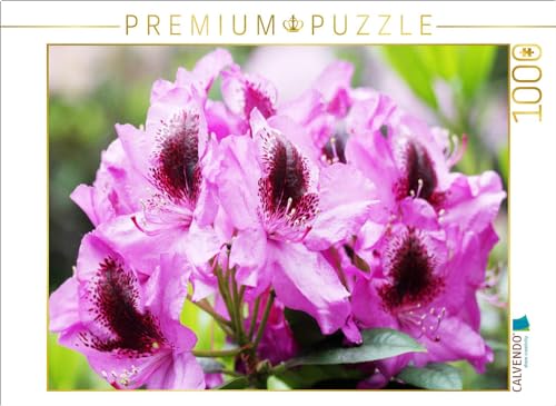 CALVENDO Puzzle Rhododendron in Pink mit dunklem Fleck | 1000 Teile Lege-Größe 64 x 48 cm Foto-Puzzle für glückliche Stunden CALVENDO Puzzle Rhododendron in Pink mit dunklem Fleck | 1000 Teile Lege-Größe 64 x 48 cm Foto-Puzzle für glückliche Stunden von CALVENDO