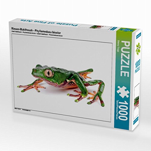 CALVENDO Puzzle Riesen-Makifrosch - Phyllomedusa Bicolor 1000 Teile Lege-Größe 64 x 48 cm Foto-Puzzle Bild von Benny Trapp von CALVENDO