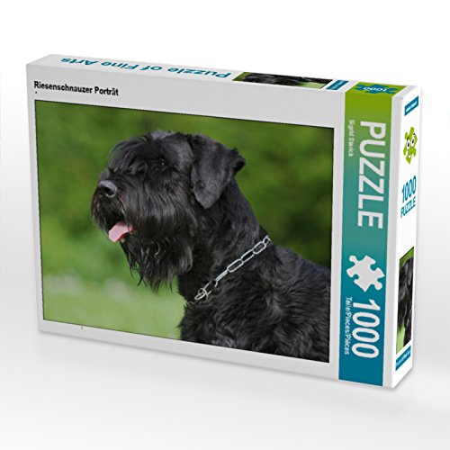 CALVENDO Puzzle Riesenschnauzer Porträt 1000 Teile Lege-Größe 64 x 48 cm Foto-Puzzle Bild von Sista-Tierfoto von CALVENDO