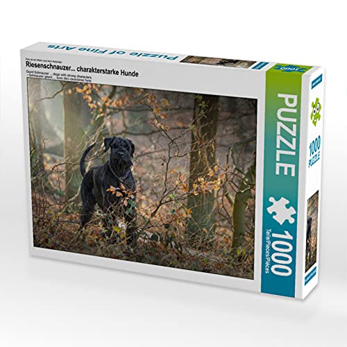CALVENDO Puzzle Riesenschnauzer... charakterstarke Hunde 1000 Teile Lege-Größe 64 x 48 cm Foto-Puzzle Bild von Martina Wrede CALVENDO Puzzle Riesenschnauzer... charakterstarke Hunde 1000 Teile Lege-Größe 64 x 48 cm Foto-Puzzle Bild von Martina Wrede von CALVENDO