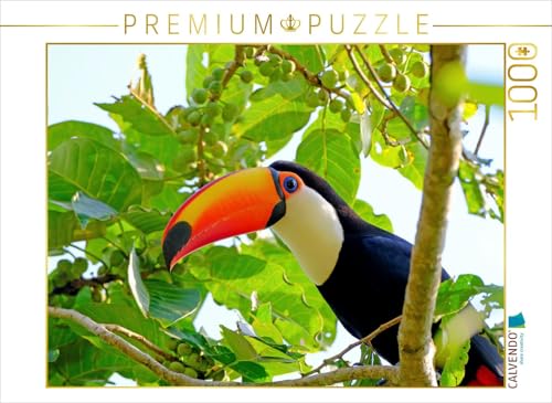CALVENDO Puzzle Riesentukan (Ramphastos Toco) 1000 Teile Lege-Größe 64 x 48 cm Foto-Puzzle Bild von viaje.ch von CALVENDO