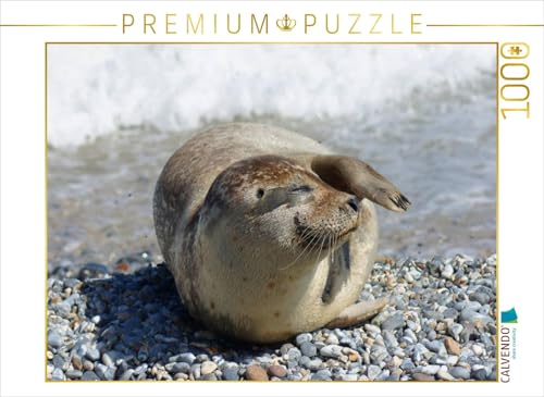 CALVENDO Puzzle Robben Gruß von der Nordseeküste | Lege-Größe cm Foto-Puzzle für glückliche Stunden von CALVENDO
