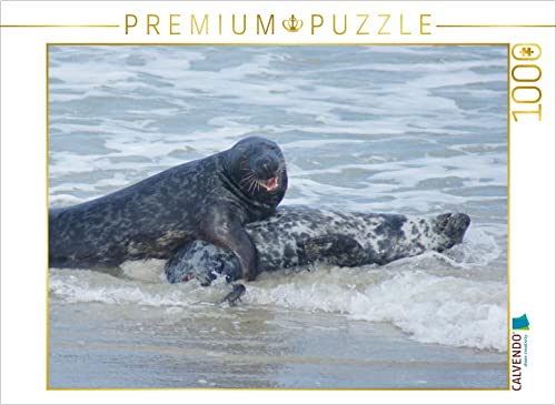 CALVENDO Puzzle Robben Liebe 1000 Teile Puzzle quer | 1000 Teile Lege-Größe 64 x 48 cm Foto-Puzzle für glückliche Stunden von CALVENDO