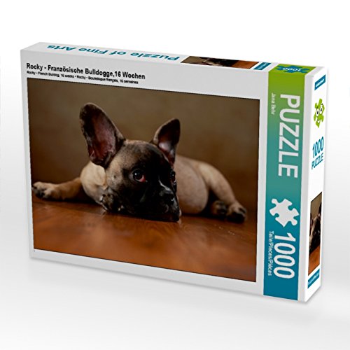 CALVENDO Puzzle Rocky - Französische Bulldogge,16 Wochen 1000 Teile Puzzle quer | 1000 Teile Lege-Größe 64 x 48 cm Foto-Puzzle für glückliche Stunden von CALVENDO