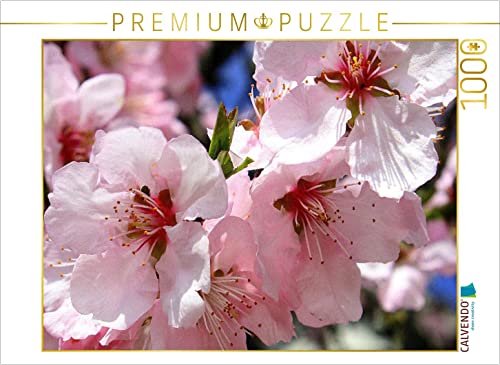 CALVENDO Puzzle Rosa Mandelblüte an der Deutschen Weinstrasse - Prunus dulcis | 1000 Teile Lege-Größe 64 x 48 cm Foto-Puzzle für glückliche Stunden von CALVENDO
