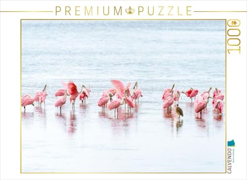 CALVENDO Puzzle Rosalöffler in Florida | 1000 Teile Lege-Größe 64 x 48 cm Foto-Puzzle für glückliche Stunden von CALVENDO