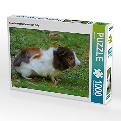 CALVENDO Puzzle Rosettenmeerschweinchen Baby 1000 Teile Puzzle quer | 1000 Teile Lege-Größe 64 x 48 cm Foto-Puzzle für glückliche Stunden CALVENDO Puzzle Rosettenmeerschweinchen Baby 1000 Teile Puzzle quer | 1000 Teile Lege-Größe 64 x 48 cm Foto-Puzzle für glückliche Stunden von CALVENDO