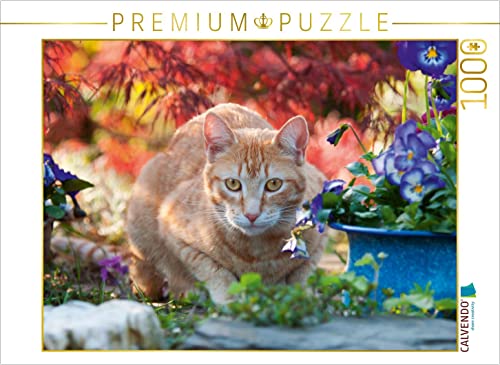 CALVENDO Puzzle Rot-getigerte Katze in Einer bunten Gartenidylle 1000 Teile Puzzle quer | 1000 Teile Lege-Größe 64 x 48 cm Foto-Puzzle für glückliche Stunden CALVENDO Puzzle Rot-getigerte Katze in Einer bunten Gartenidylle 1000 Teile Puzzle quer | 1000 Teile Lege-Größe 64 x 48 cm Foto-Puzzle für glückliche Stunden von CALVENDO